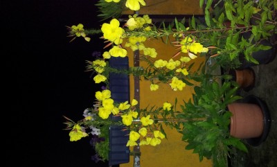 20170728_002152.jpg