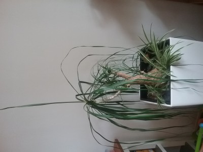 20190505_140108.jpg