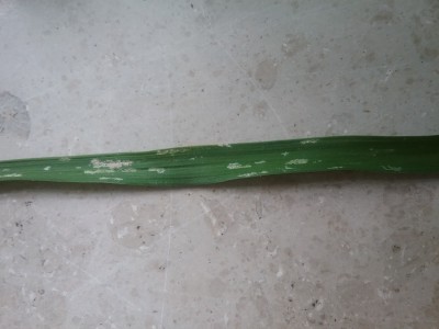 20190505_140315.jpg