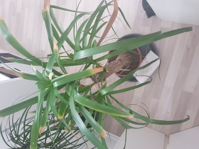 20190509_090534.jpg