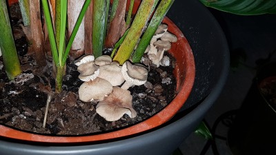 20190516_175934.jpg