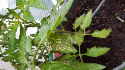 20190509_065852.jpg
