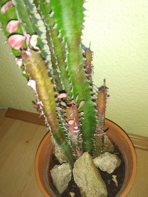 2019-05-18 18.51.33.jpg