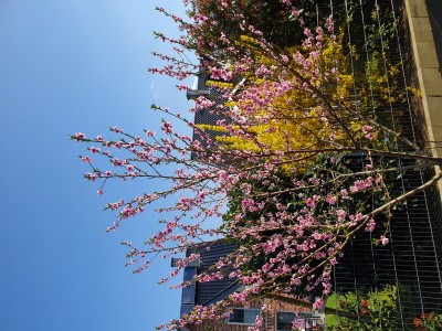 20190330_112609.jpg