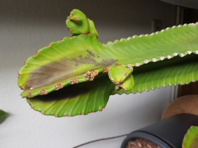 20190522_110031.jpg