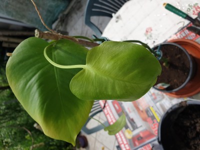20190519_133141.jpg