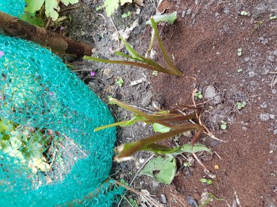 20190524_162956.jpg