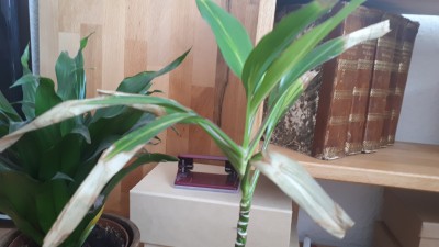 20190530_121453.jpg