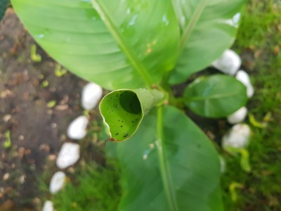 20190604_195744.jpg