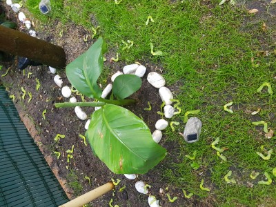 20190604_195822.jpg
