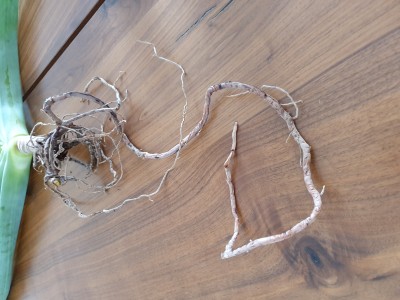 20190605_130539.jpg