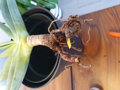 20190605_185119.jpg