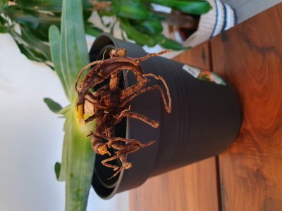 20190605_185122.jpg