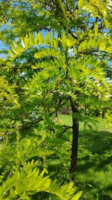 20190606_102353.jpg