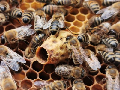 WhatsApp Image 2019-06-08 at 22.15.46.jpeg