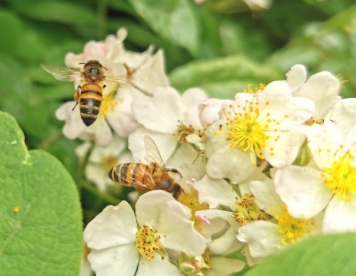 WhatsApp Image 2019-06-08 at 22.30.21.jpeg