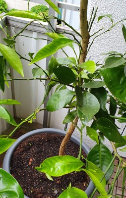 20190610_100550.jpg