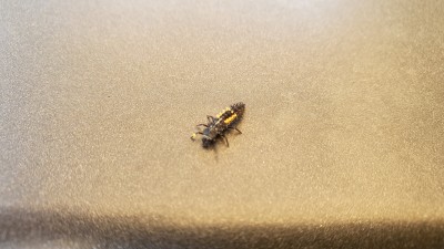 20190613_130601.jpg