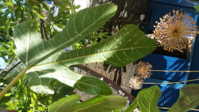 20190618_092226.jpg