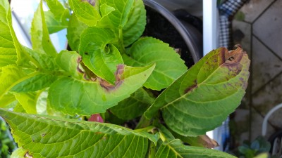 20190620_102454.jpg