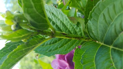 20190620_102503.jpg