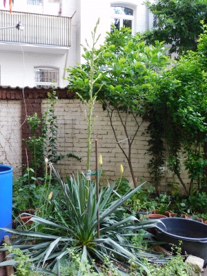 DSCN0558.JPG