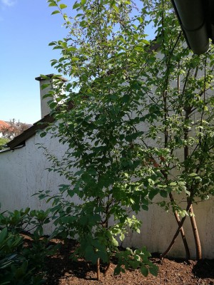 IMG-20190623-WA0006.jpg