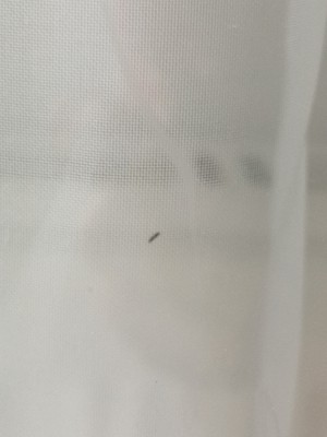 IMG_20190627_172950.jpg