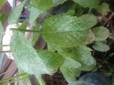 20190628_141721.jpg