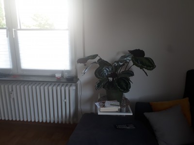 20190710_082749.jpg