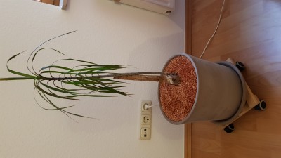20190713_210646.jpg