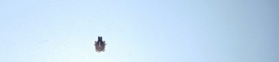 20190714_023718.jpg