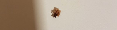 20190714_023532.jpg