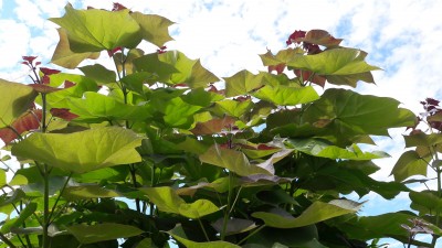 20190706_144830.jpg