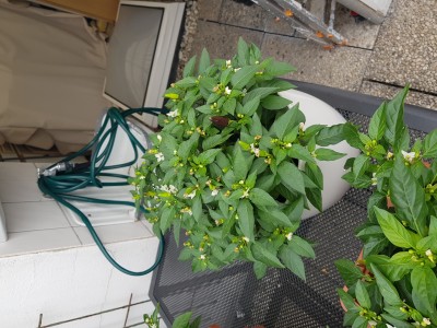 20190727_110117.jpg