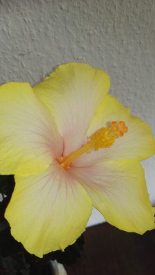 IMG_20190730_093841.jpg