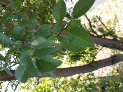 20190723_172930.jpg