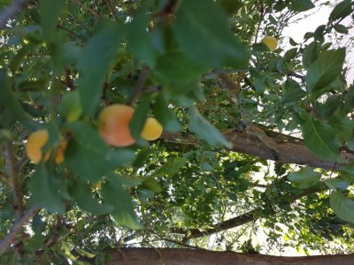 20190723_172936.jpg