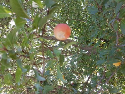 20190723_172940.jpg