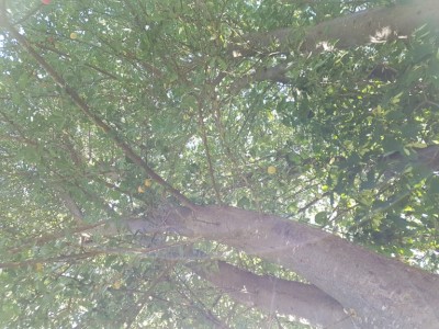 20190723_173017.jpg
