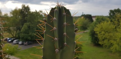 20190814_091715.jpg