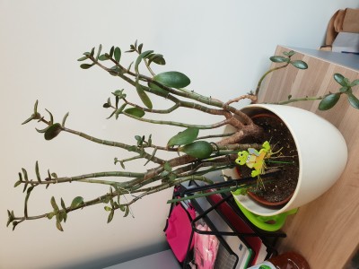20190815_103810.jpg
