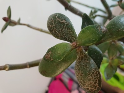 20190815_103822.jpg