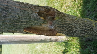 20190815_143032.jpg