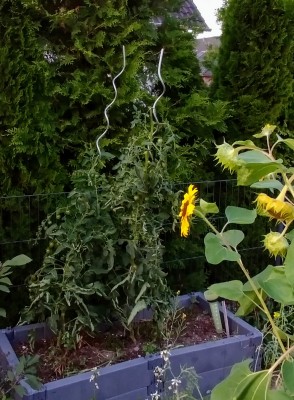 20190823_201420~2.jpg