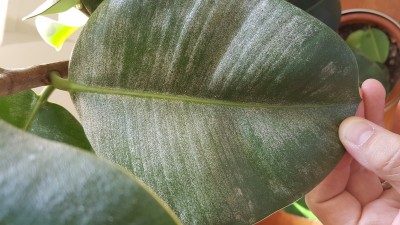 20190826_152559.jpg