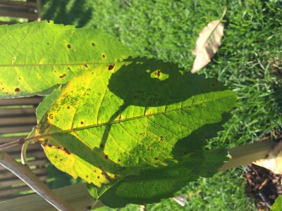 82F5239A-ABD5-49C9-818B-2B0D398F6177.jpeg