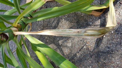 20190824_095758.jpg
