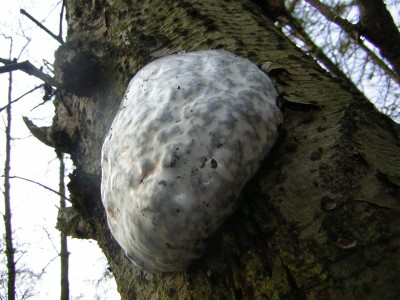 DSCN2455.JPG