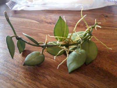 20190929_183917.jpg